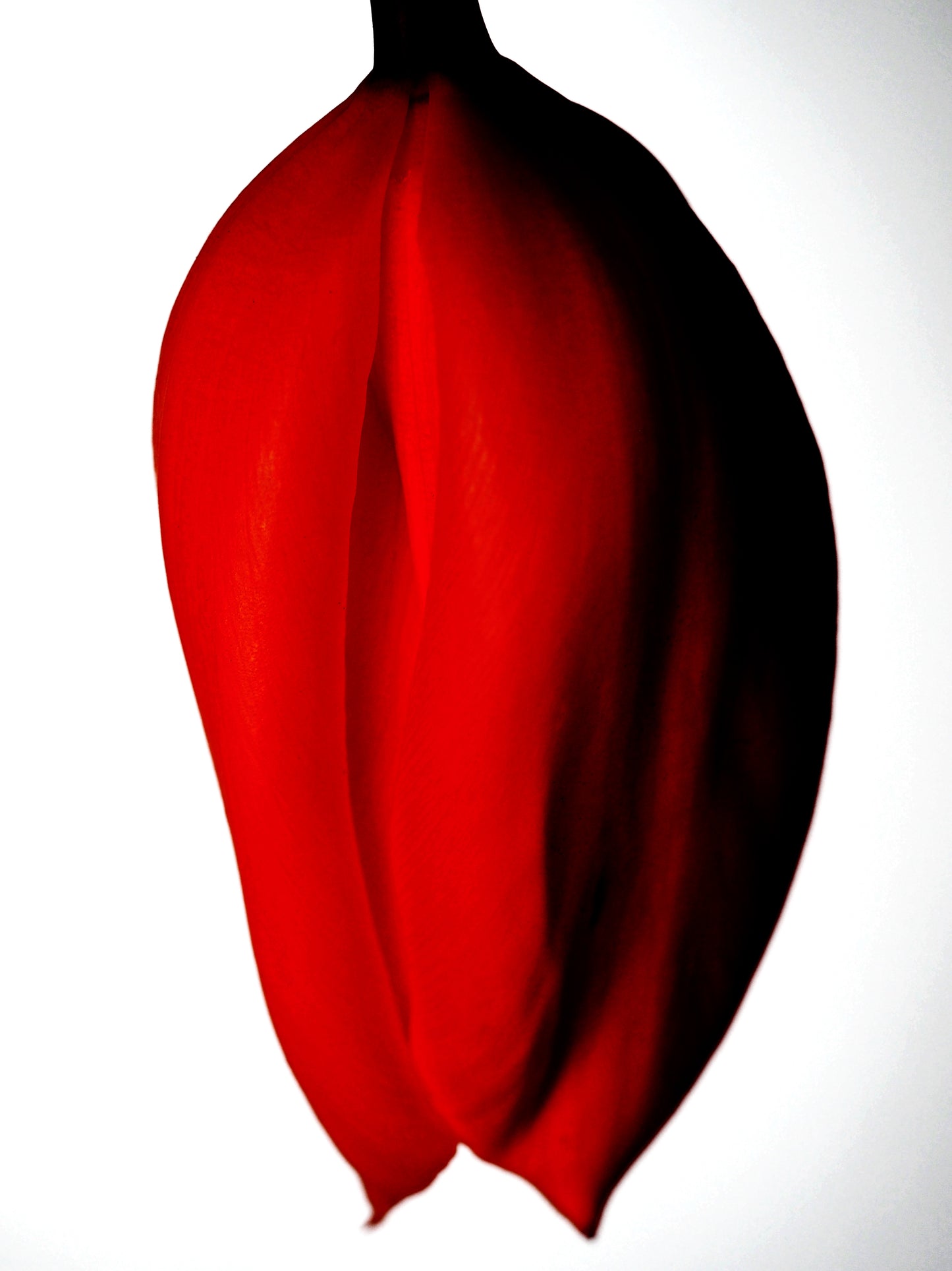 '3 DELICIAS'