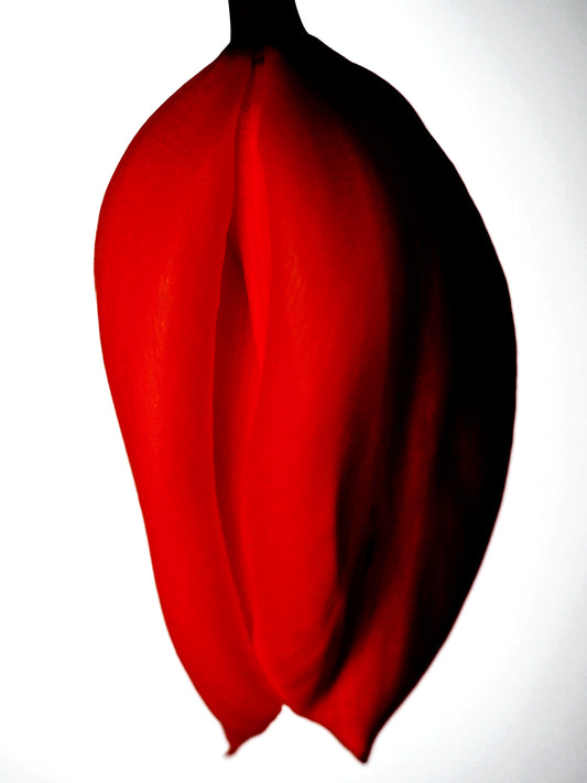 '3 DELICIAS'